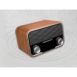 Bezprzewodowe Radio z Głośnikiem Bluetooth Retro FM i AUX, 15h Czasu Pracy